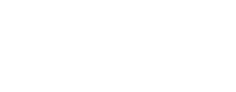 Fleek Logo - SecondTier sponsor